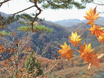 信息公开 第549页