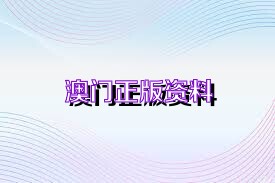 澳门内部正版资料大全，探索与解析