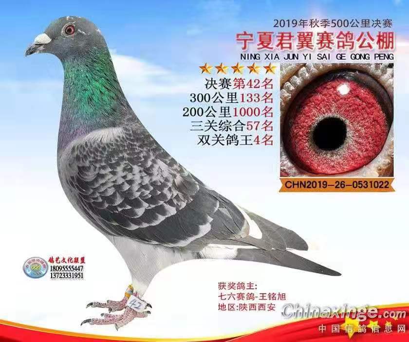 今天开什么特马 第252页