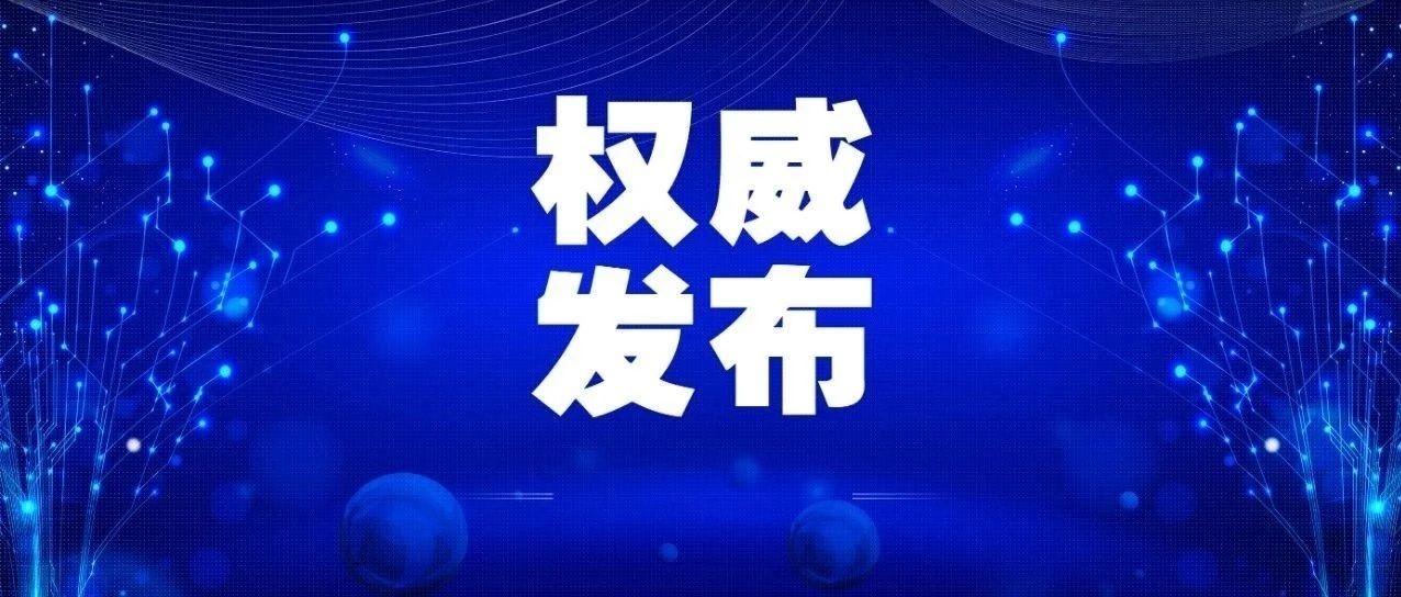 新澳2025最新资料解读，第135期展望与解析