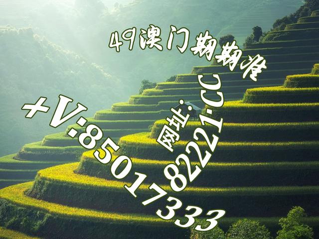 六叔图库彩图免费大全，探索凌波微步的视觉盛宴