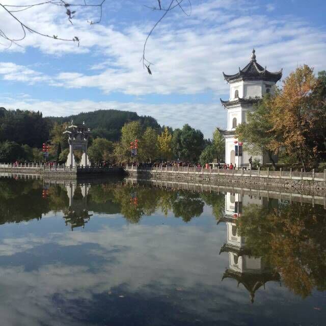 香港本港最快开奖结果手机版，今日最新消息与实时动态