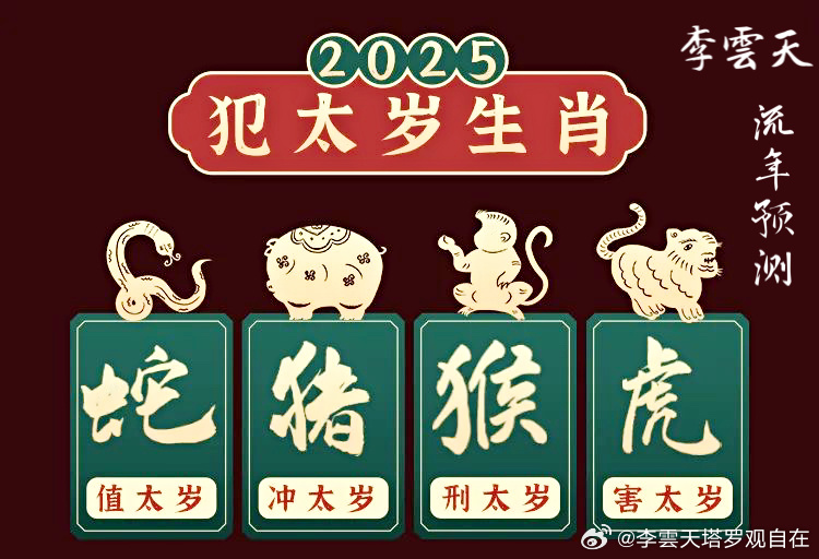 新澳六叔公料，2025年生肖运势总结与展望