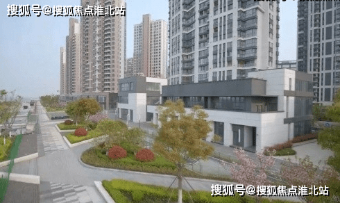 六妈六叔的西瓜视频个人主页全解析