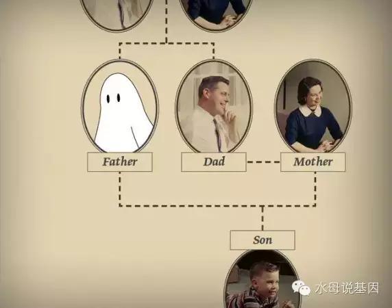 一肖一码 第223页