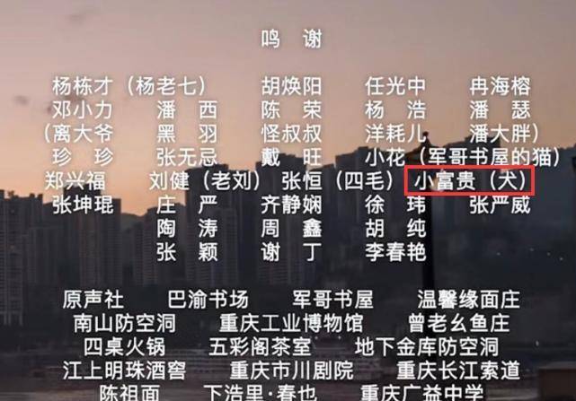精准预测三肖三期必中，揭秘傻里傻气的生肖财富密码