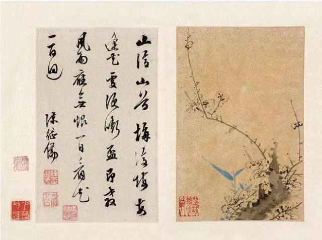 香港资料公开免费大全，四字梅花诗的魅力与探索