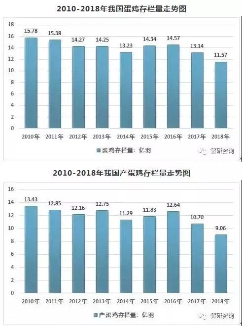 新澳历史开奖最新结果走势图表汇总分析