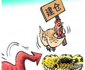 香港2025正版免费资料与猪八戒最新破解版，如何理性看待与使用