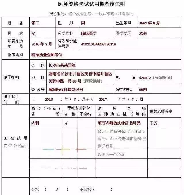 香港资料审核部，职责与重要性