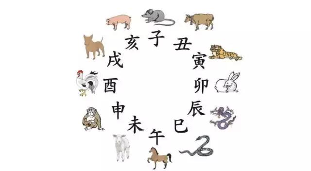 天下彩9944cc图文资讯大全，探索六合生肖的奥秘