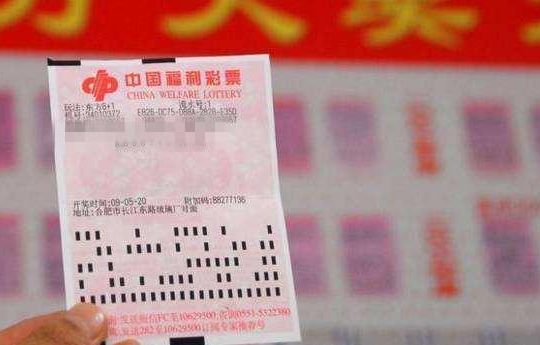 澳门彩民的福音，2025澳门天天开好彩大全免费，九花匠红色警戒的神秘世界