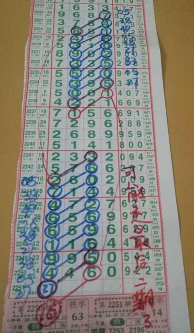 2025年2月 第255页