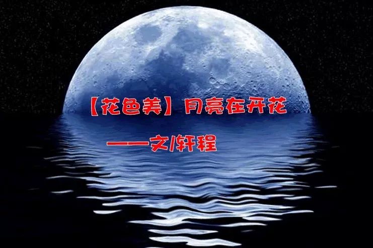 蓝月亮精选枓2o278开奖结果是真的吗？揭秘真相