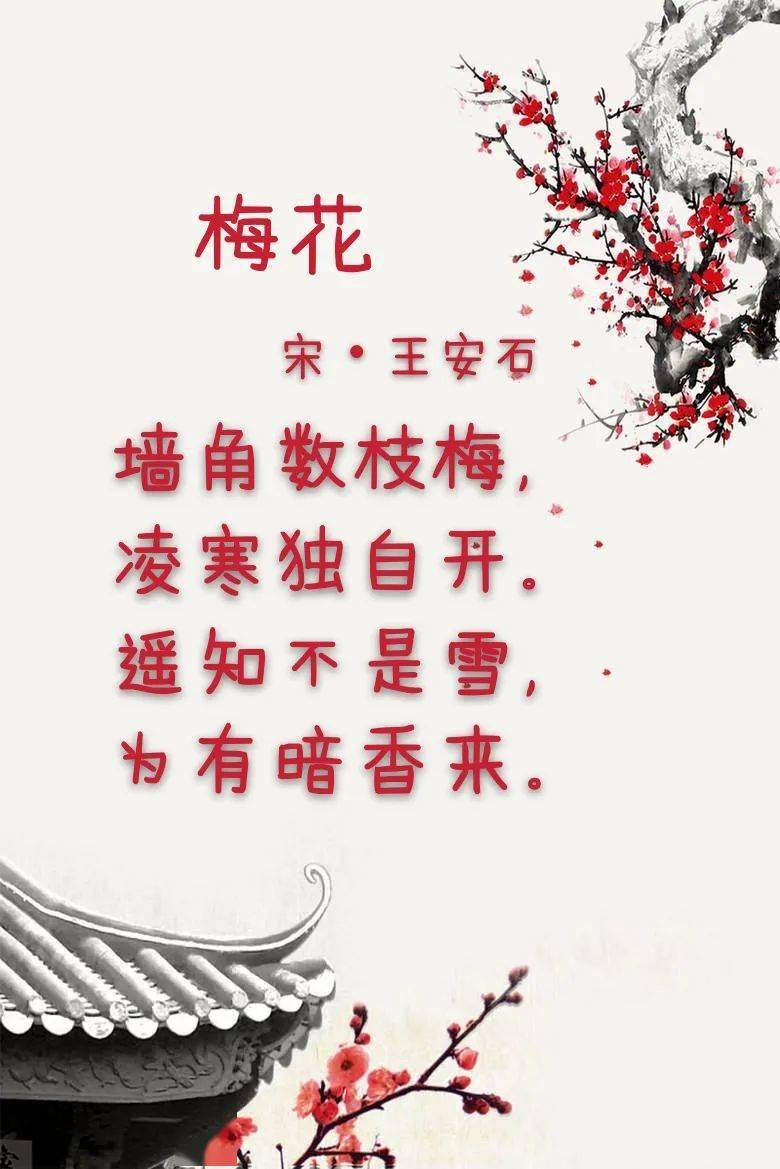 2011正版香港资料梅花四字诗的魅力与启示