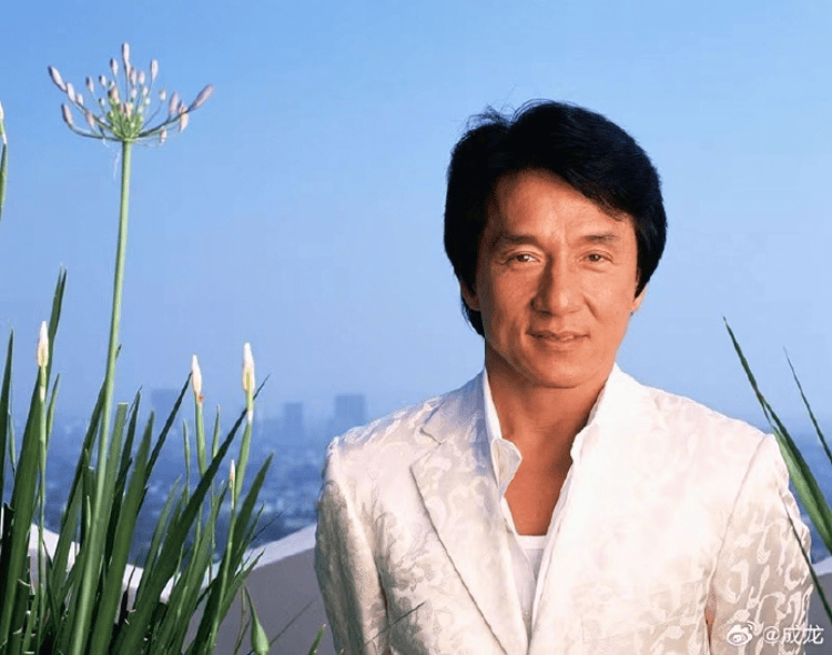 香港资料公开免费大全，四字梅花诗的最新解读