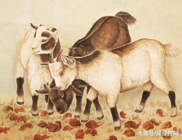 精准预测三肖三期内必中，揭秘生肖运势大揭露