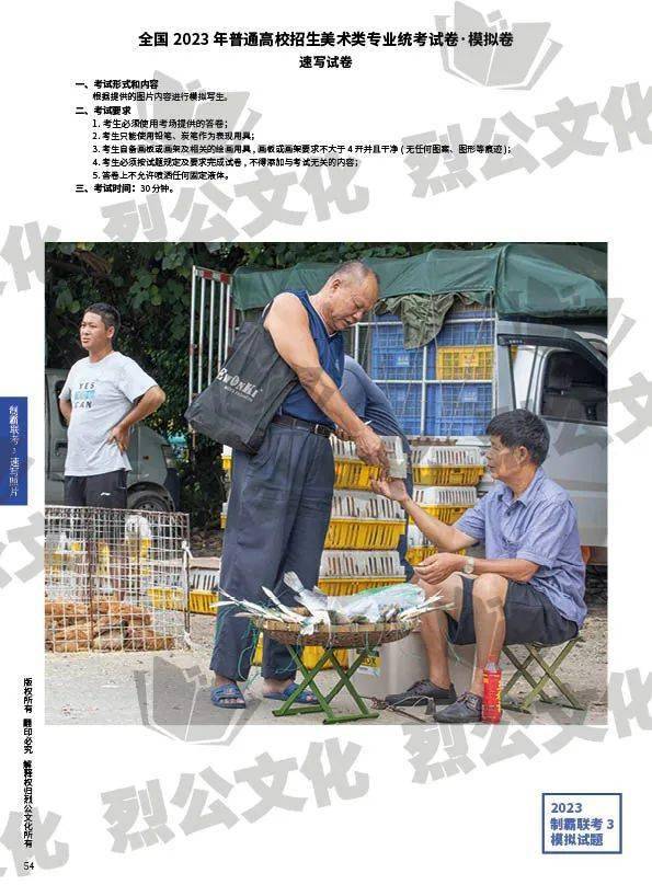 精准三肖三期内必中——实例解析与图片展示