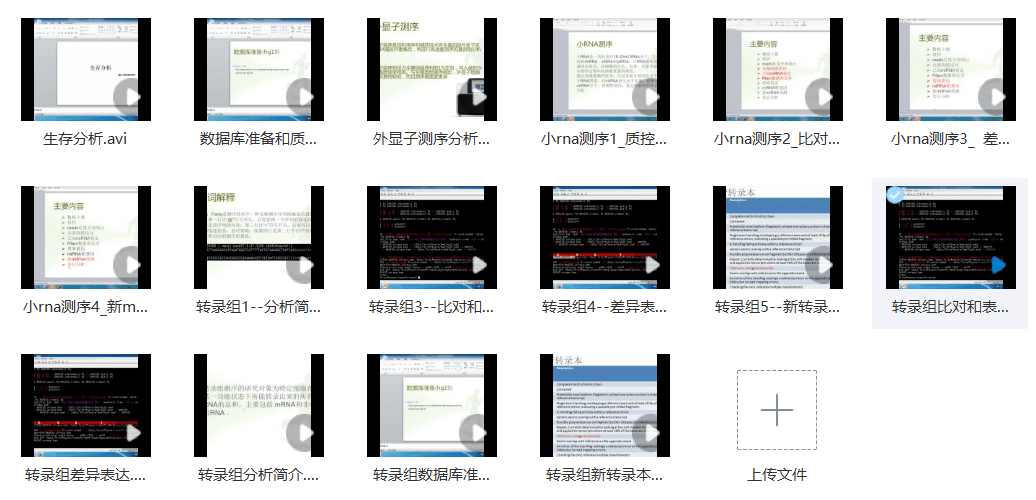 2025年3月 第230页