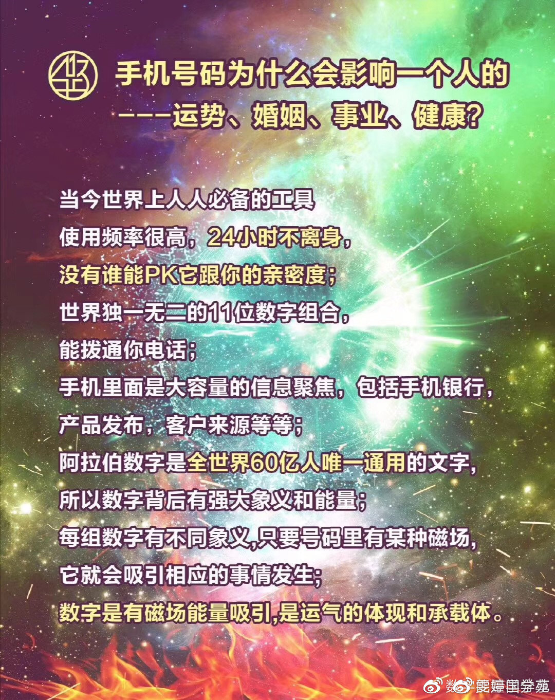 管家婆精准预测，一肖独领风骚的背后秘密揭秘？一场数字游戏的探索之旅！引言部分（约105字）