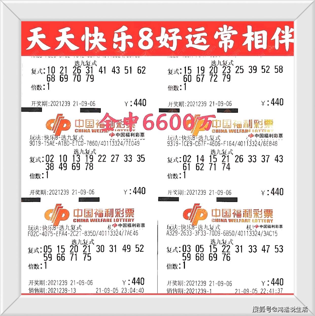 2036年六会彩生肖卡对照表解析与展望—探寻幸运之秘的探索之旅！文章内容，2024六会彩生肖卡对照表,12生肖号码卡换了没有