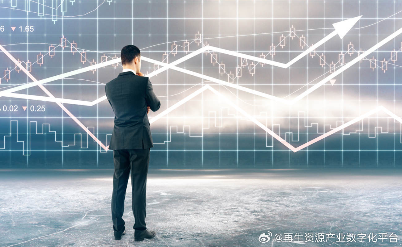 2034年新奥门王中王的未来展望与资料分析报告，探索未来的可能性及发展趋势2024年新奥门王中王资料澳彩开奖