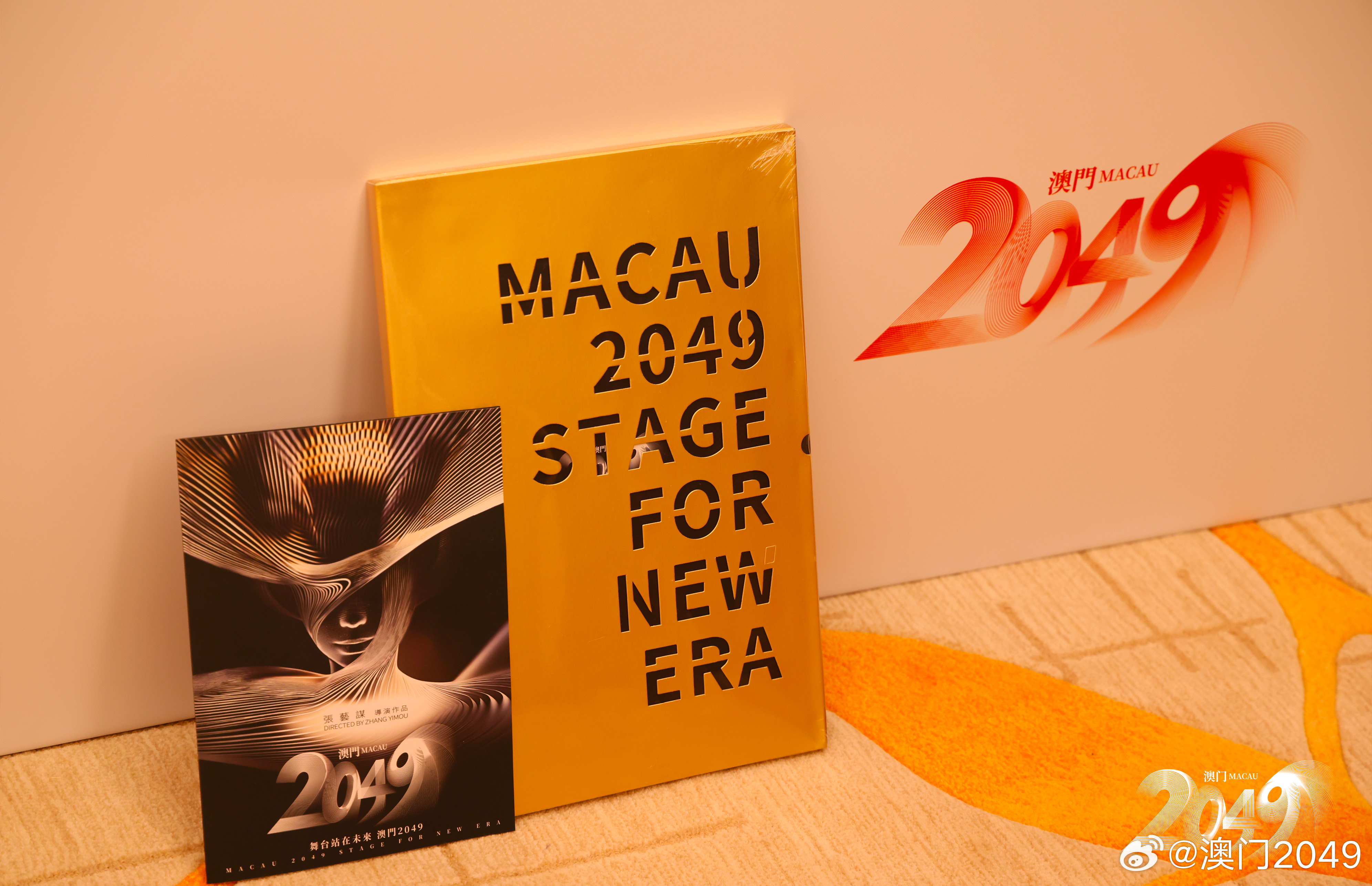 澳门开奖新篇章，204年结果揭秘与展望未来！探索澳门的幸运之门开启时刻纪实分析报告2024新澳门开奖结果开奖号码