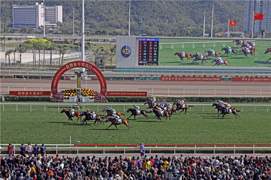 香港马会全年资料大全，赛驹、赛事与会员福利的全面解析指南香港2021年马会资料大全