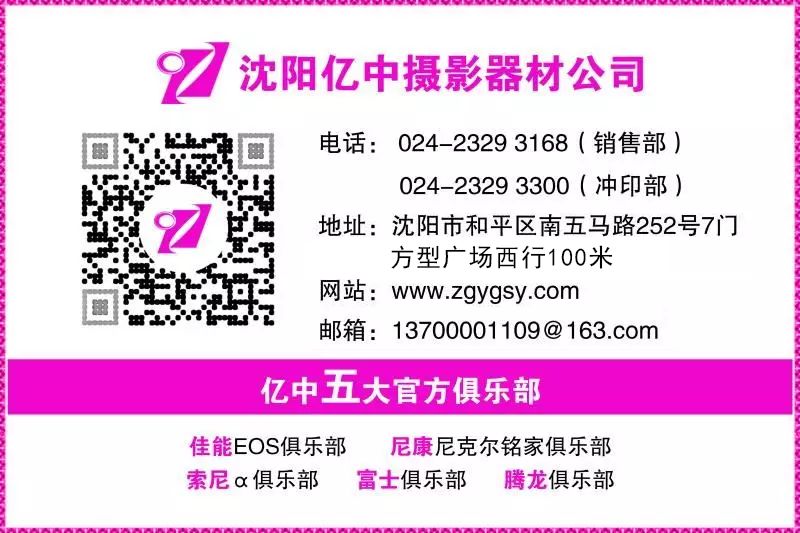 新澳好彩免费资料查询2034，探索与分享的双重乐趣之旅！2025年正版资料免费大全