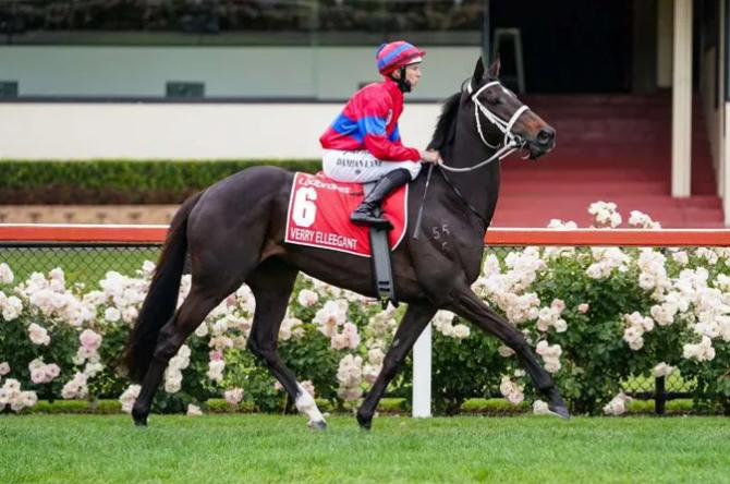 2018香港马会资料大全，赛驹风采、赛事概览与投注策略全解析香港2021年马会资料大全