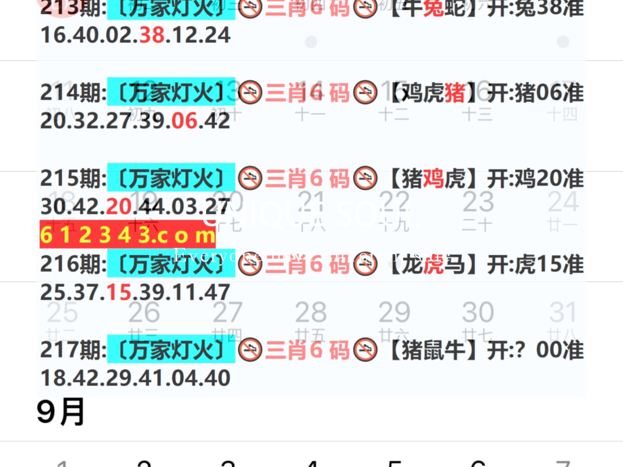 204新奥开奖记录，探索数字与幸运的交汇点之谜解密篇2024新奥开奖记录新澳门今晚开结呆