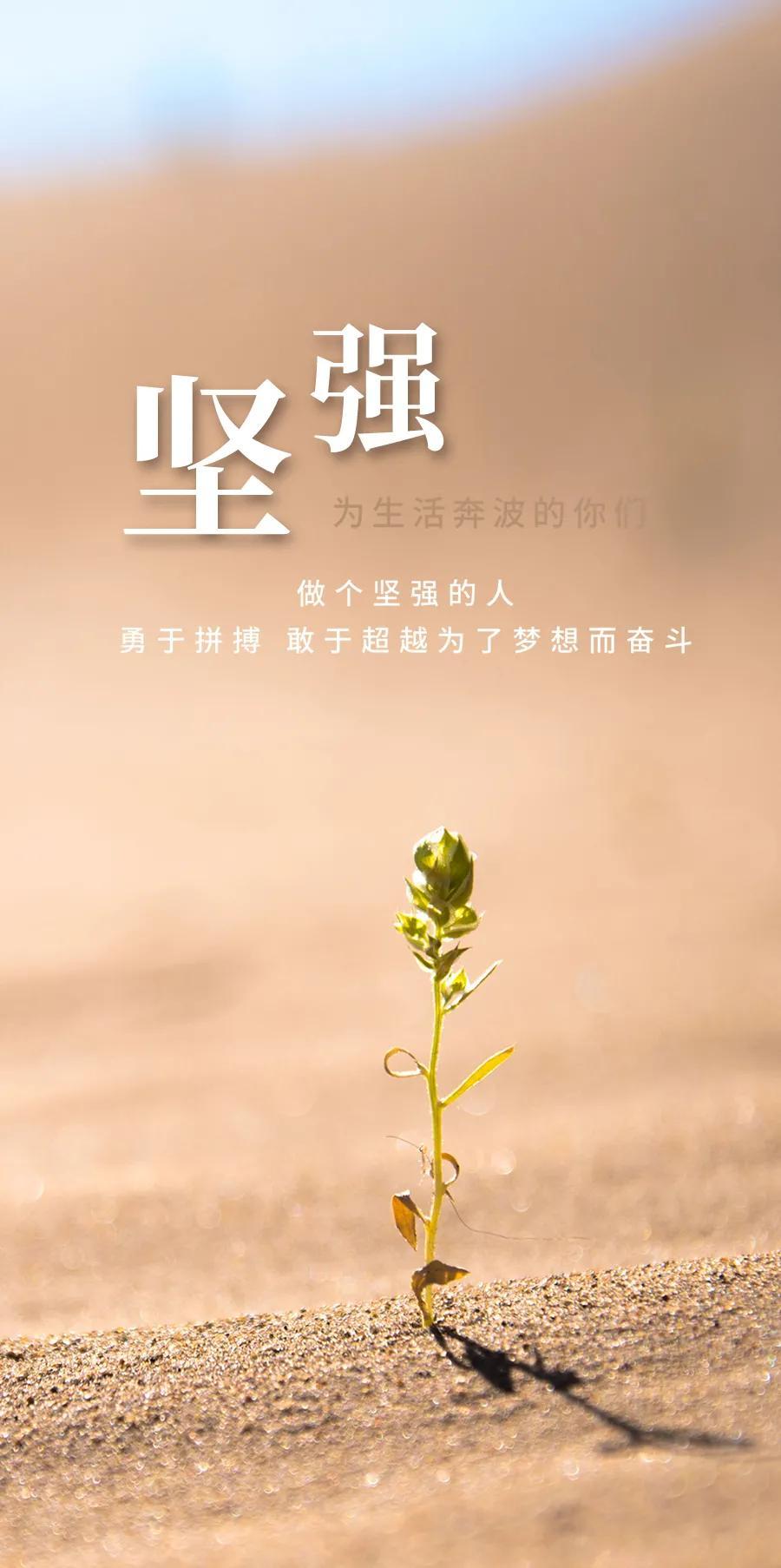 今晚六给彩开奖号码2021