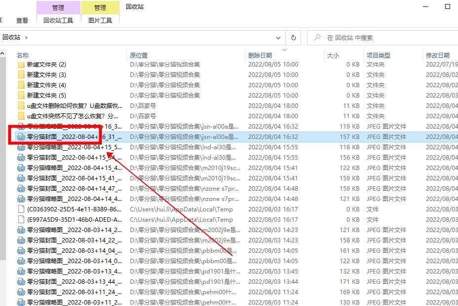管家婆精准资料大全软件使用指南，轻松掌握数据管理新技能！