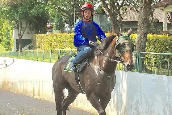 香港马会资料大全，2019年全面解析与免费获取途径详解香港2021年马会资料大全