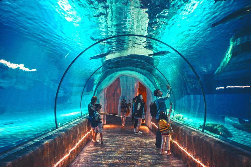 香港2037年正版全年资料免费看—探索与发现之旅的起点！2o2l香港全年免费资料公开