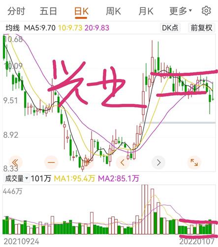 2022一码一肖100%准确313