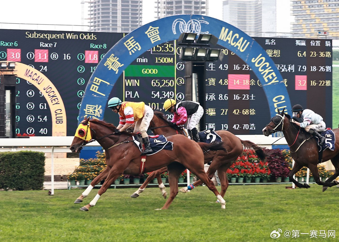 2019马会正版资料解读与解析2019年马会正版幽默
