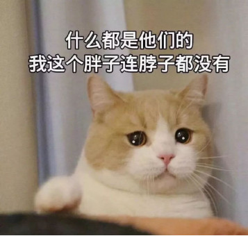 香淃六香的绽放与今日彩果的丰收香淃六香彩开奖结果资