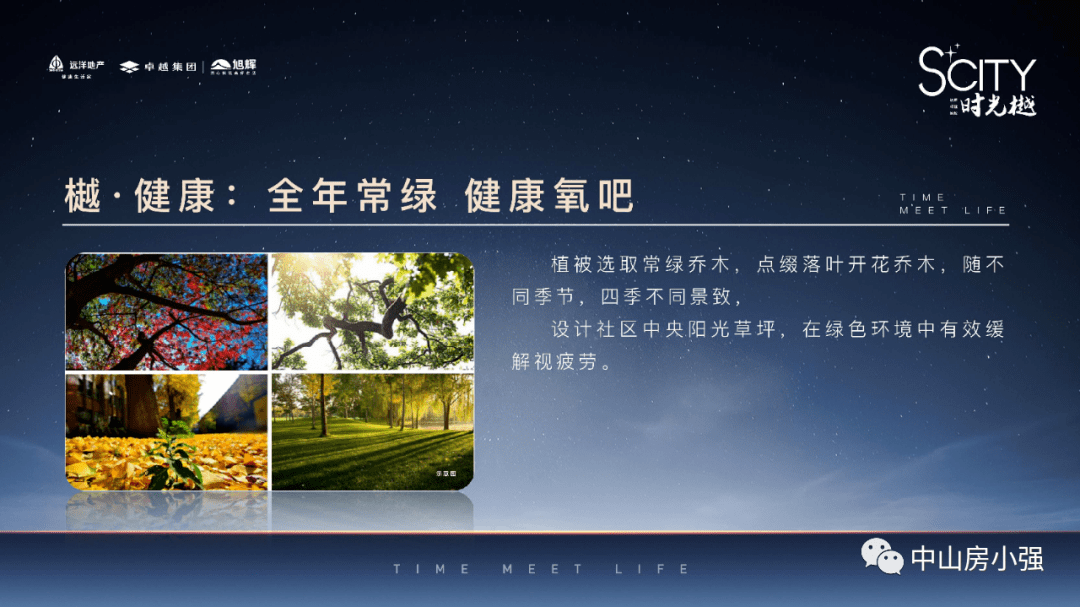 管家婆一码中肖资料大全解析