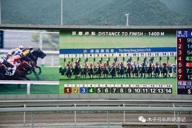 香港全年资料马会大全香港2021年马会资料大全
