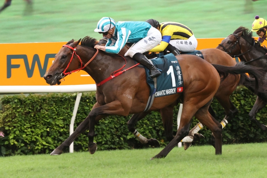 2019香港马会全年资料大全，赛驹风采与赛事概览全解析香港2021年马会资料大全
