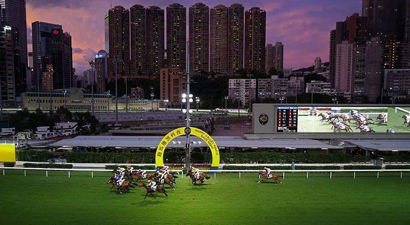 香港赛马会免费资料网，一览赛事风采与实用指南的绝佳平台香港赛马会资料