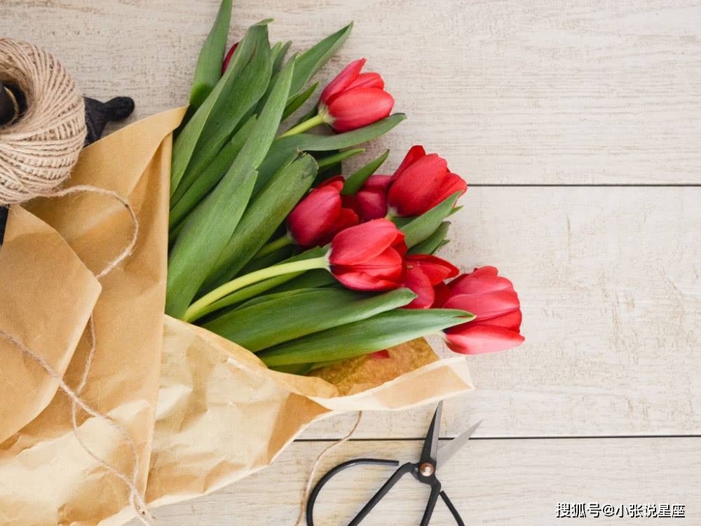 管家婆特一肖揭秘—探寻必出之精准生肖管家婆1肖中特