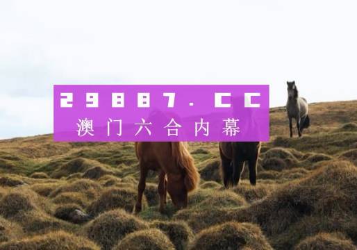 澳门开奖免费大全，全面解析与深度探索澳门开奖免费大全资料2025期