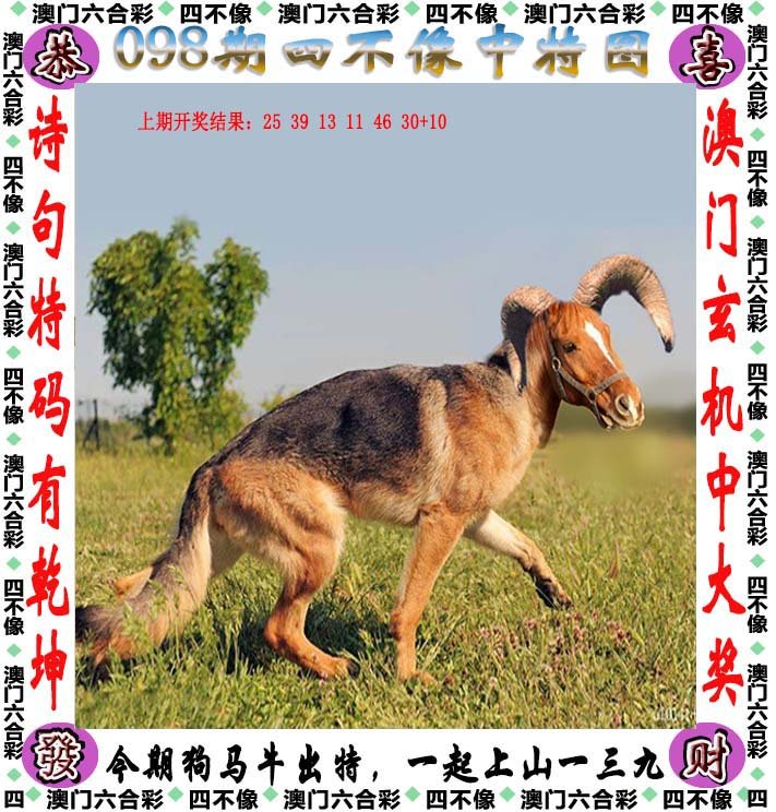 揭秘生肖之谜—四不像王中王的必出一肖四不像王中王必出一肖破解版