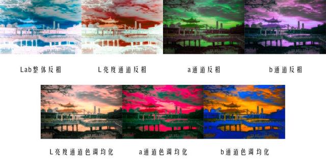 彩富网免费资料大全，与你同行，共筑知识之桥彩富|网