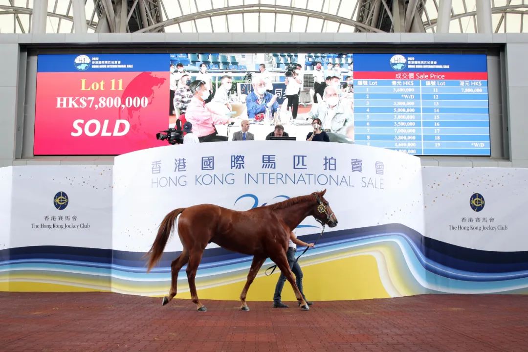 香港马会资料大全，2019年回顾与免费资源获取指南香港2021年马会资料大全