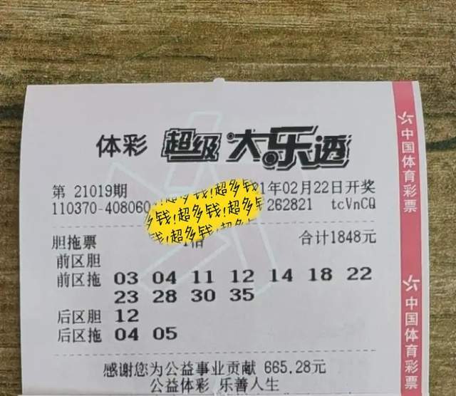 204新澳门彩民的福音，天天开好大全正版指南解析与体验分享！2024新澳门天天开好彩大全正版49图