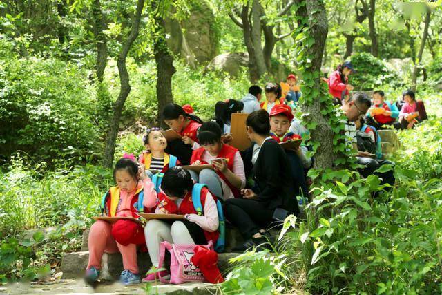 探索奇妙世界，走进www.2935017684的精彩之旅