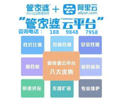 管家婆全年资料，全方位解析与深度应用指南管家婆吧